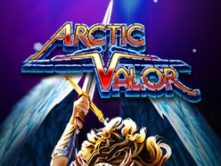 Arctic Valor