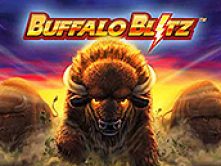 Buffalo Blitz