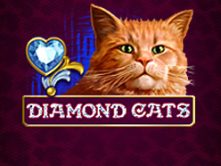 Diamond Cats