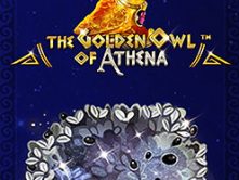 The Golden Owl Of Athena