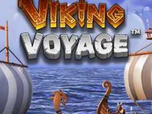 Viking Voyage